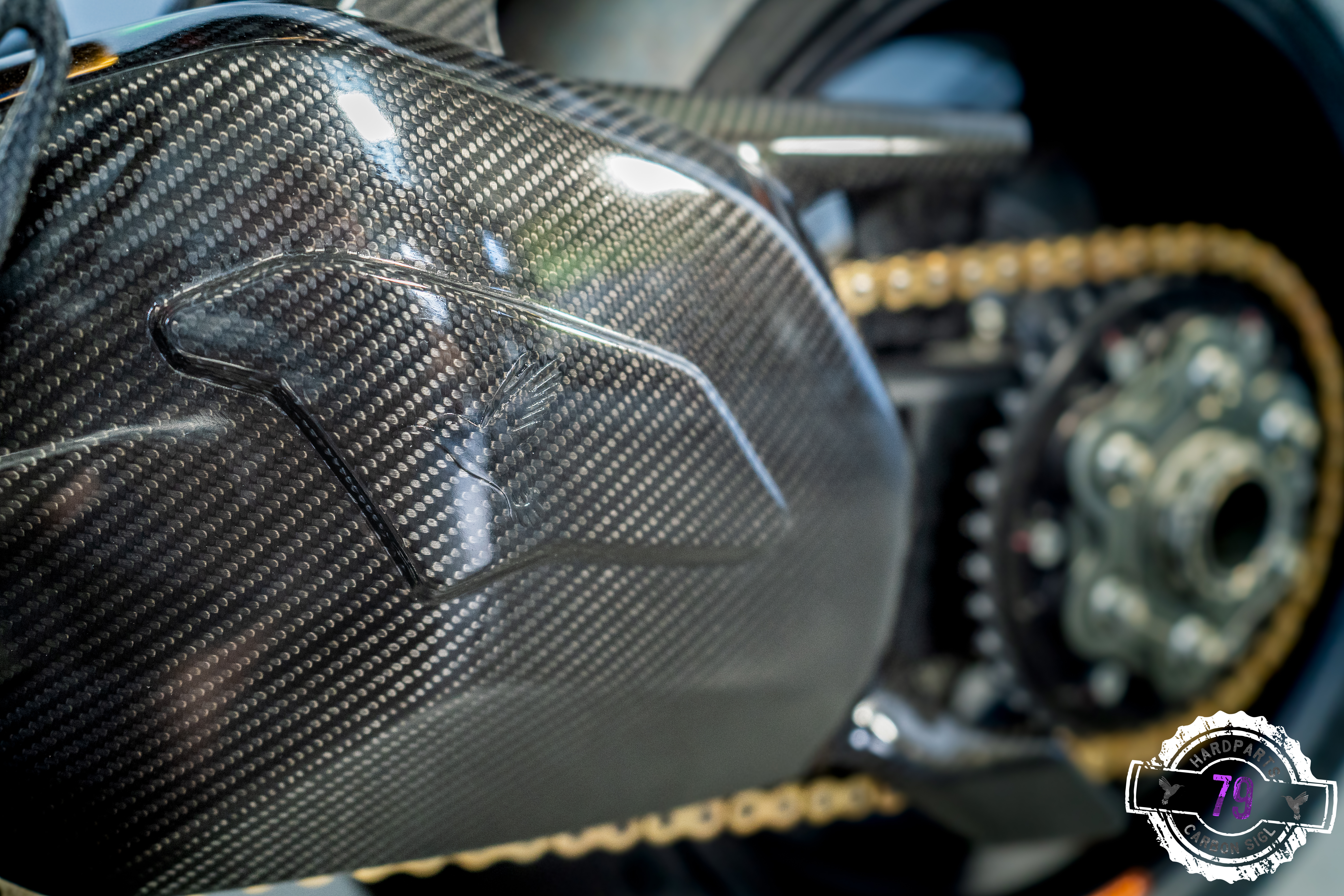 Ducati Panigale V4 Schwingenschutz mit Heckflügel